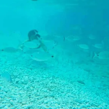 דירה Ghiaie Sea View פורטופראיו