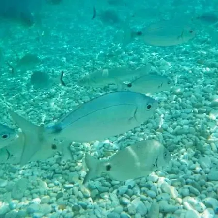 Ghiaie Sea View דירה *