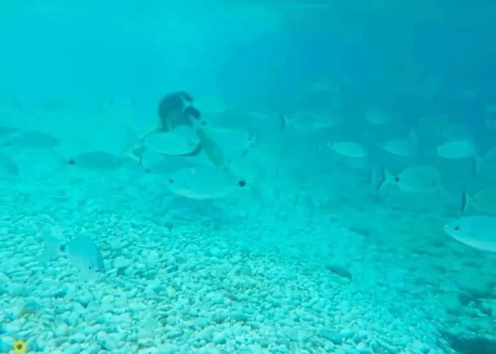 Lejlighed Ghiaie Sea View Portoferraio