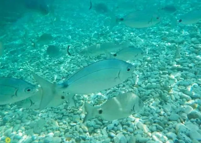 Ghiaie Sea View Apartman *